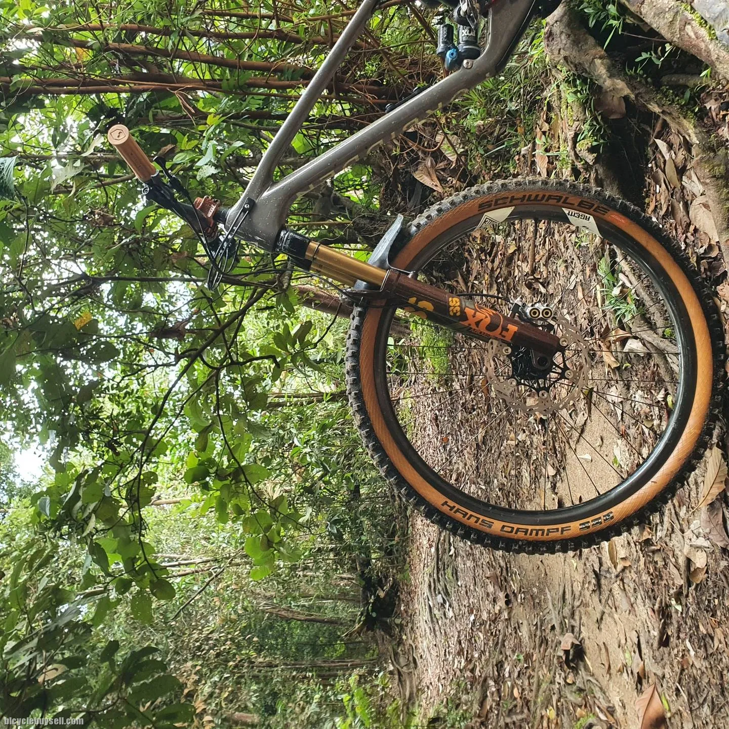 Forbidden Druid M Size Full Bike