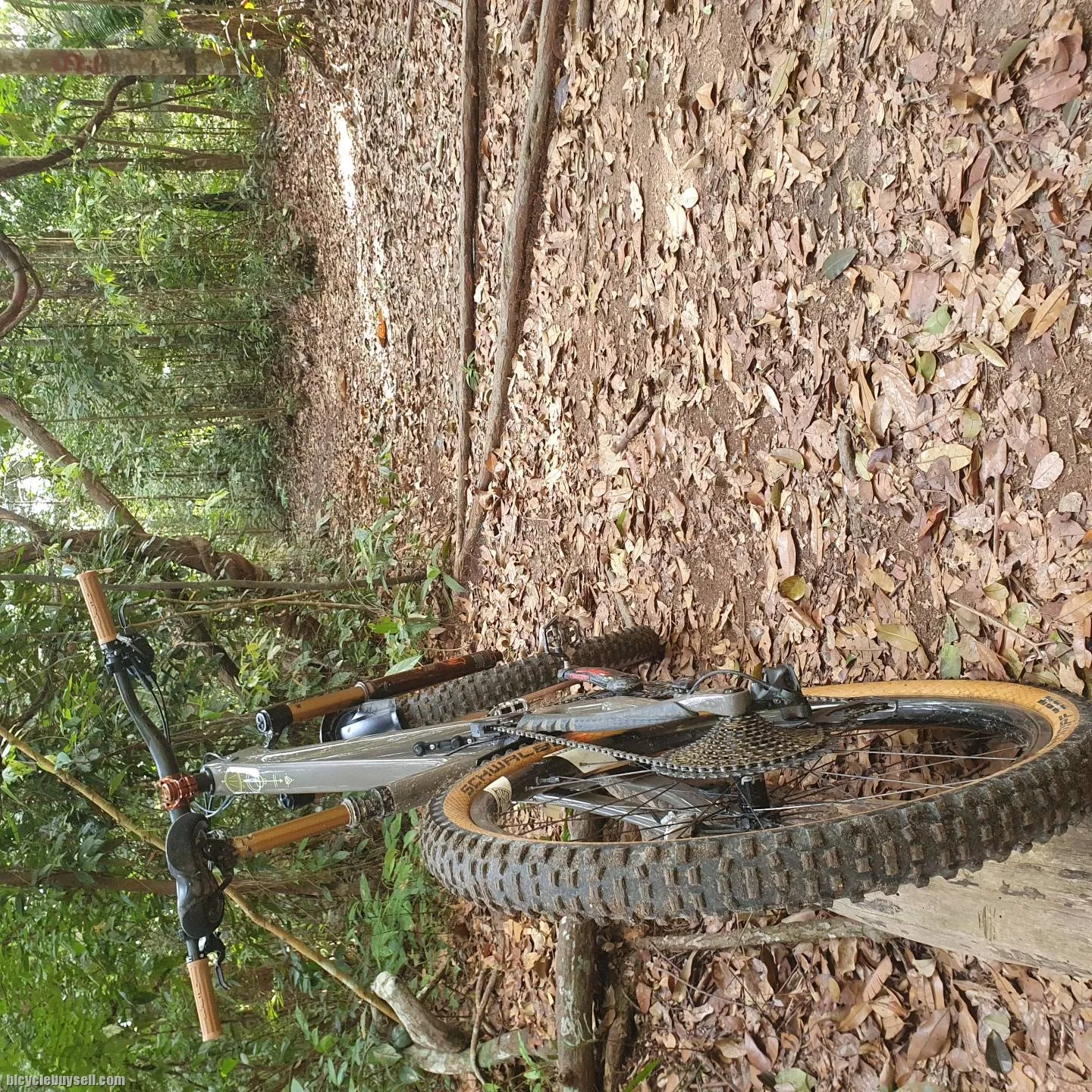 Forbidden Druid M Size Full Bike
