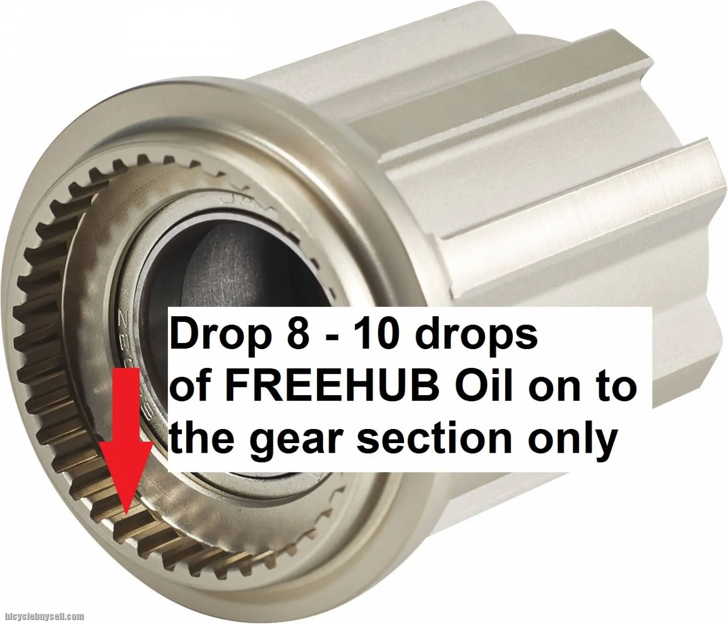 MAX Freehub Oil for Pawl System
