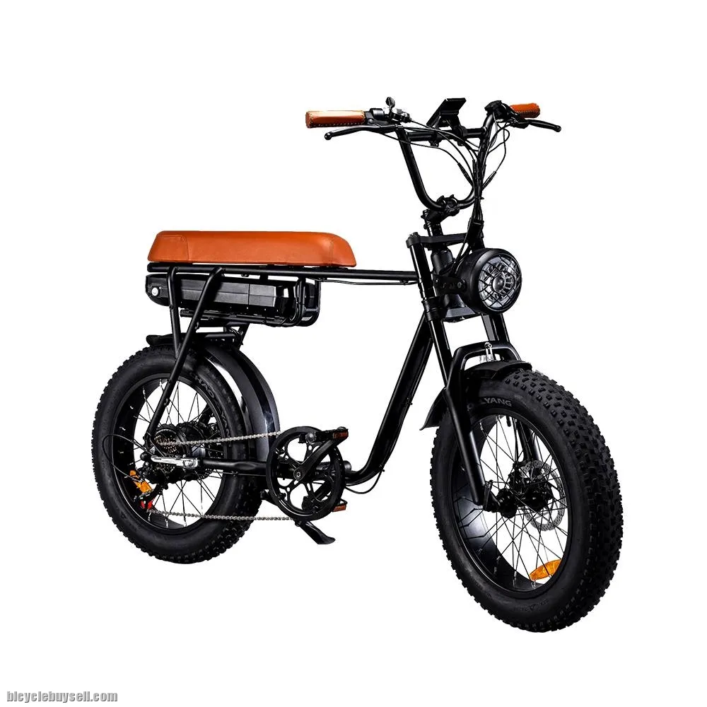 Electric Bicycle 7GO G7 Black edition