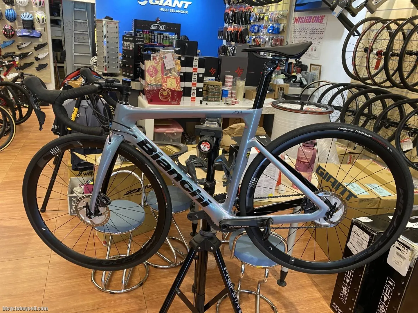 Bianchi Aria- Rare Color