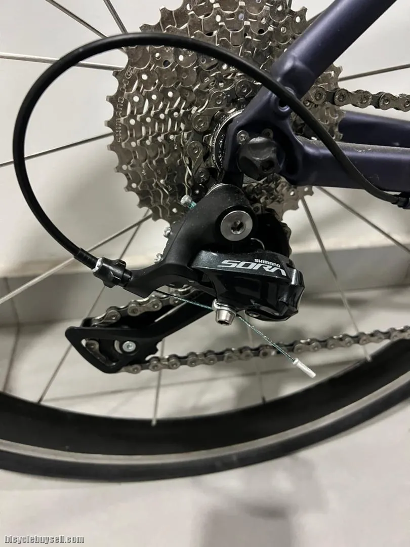 2022 Giant Liv Avail (Women specs All Rounder Road Bike)