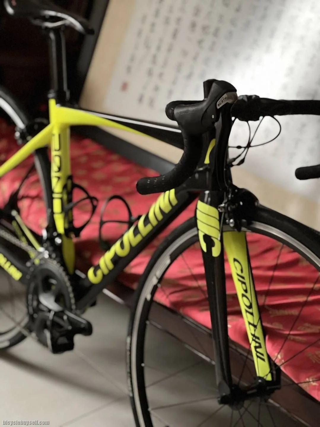 Cipollini bond size S