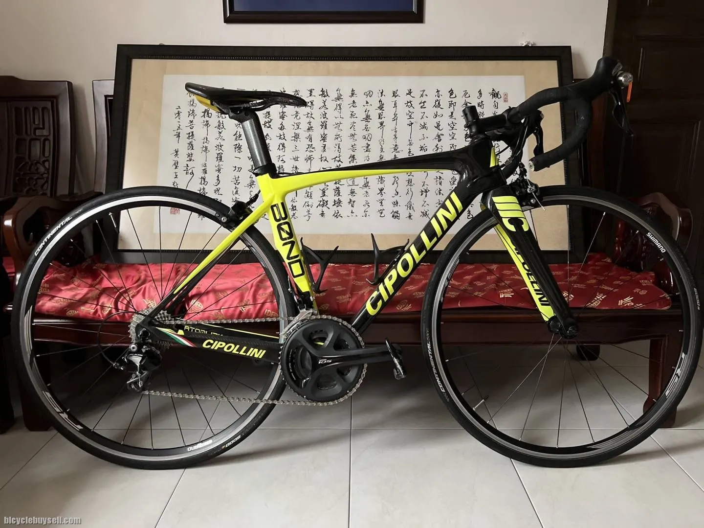 Cipollini bond size S