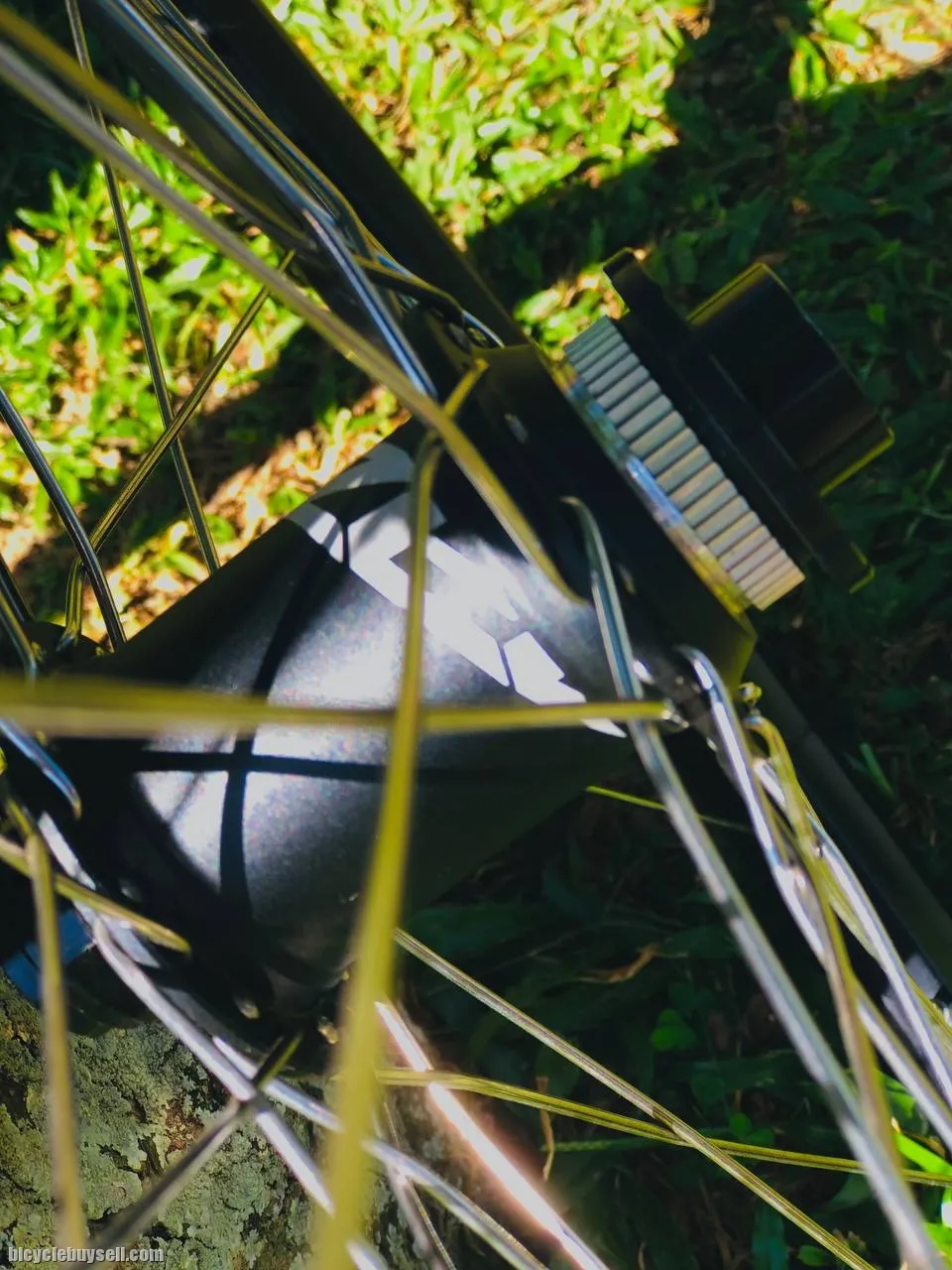 Sunringle Mtx33 &amp; ZEE Shimano Hub