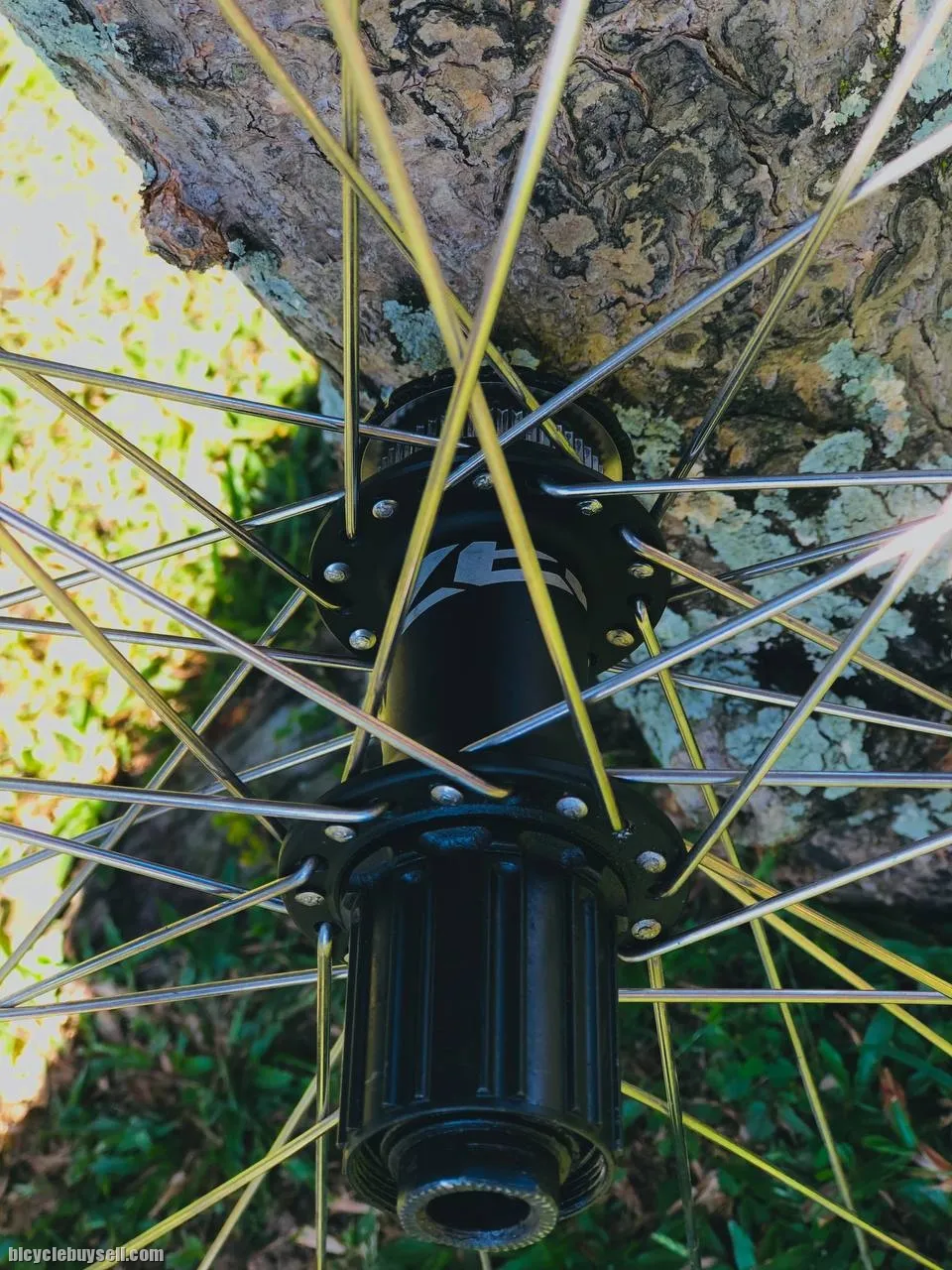 Sunringle Mtx33 &amp; ZEE Shimano Hub