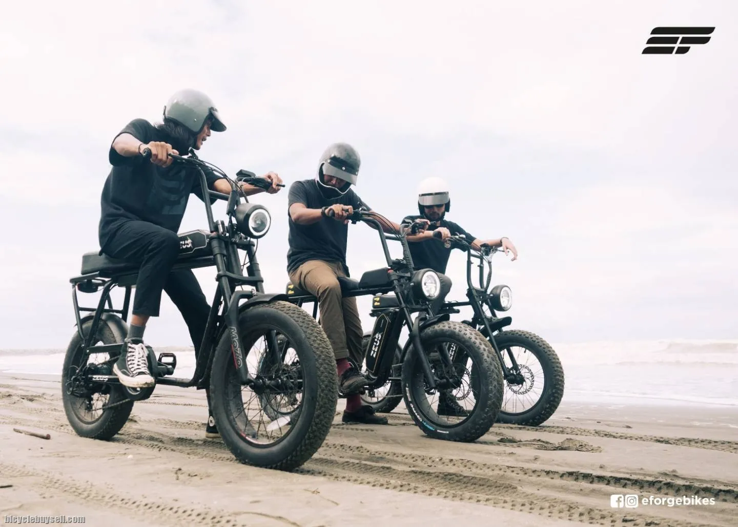 Electric Bicycle Zeus Alpha (Premium model)
