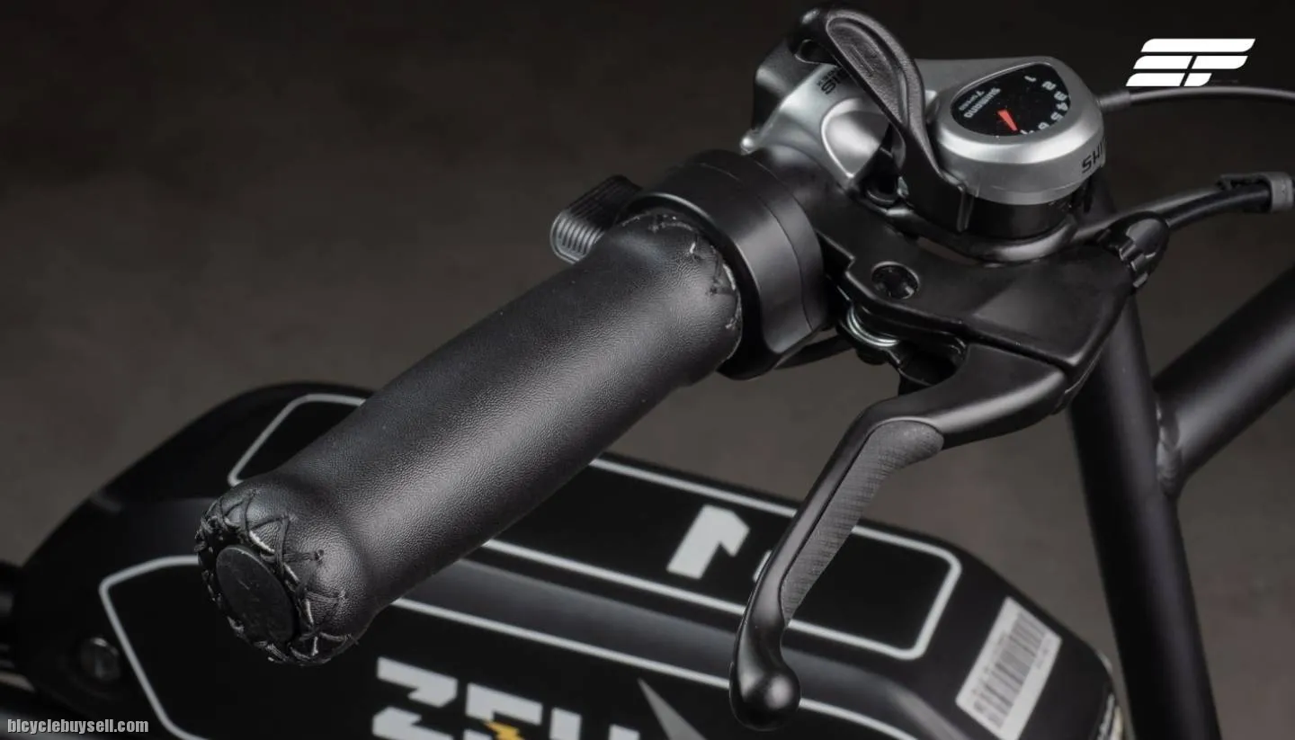 Electric Bicycle Zeus Alpha (Premium model)