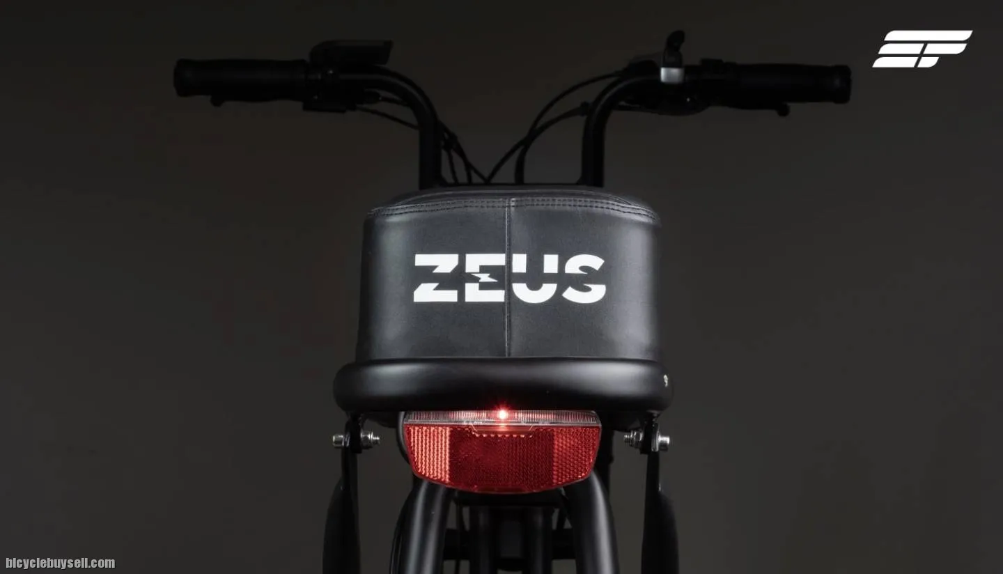Electric Bicycle Zeus Alpha (Premium model)