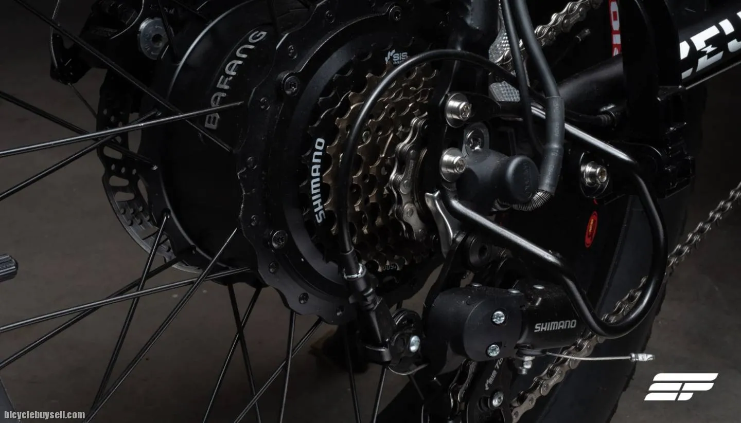 Electric Bicycle Zeus Alpha (Premium model)