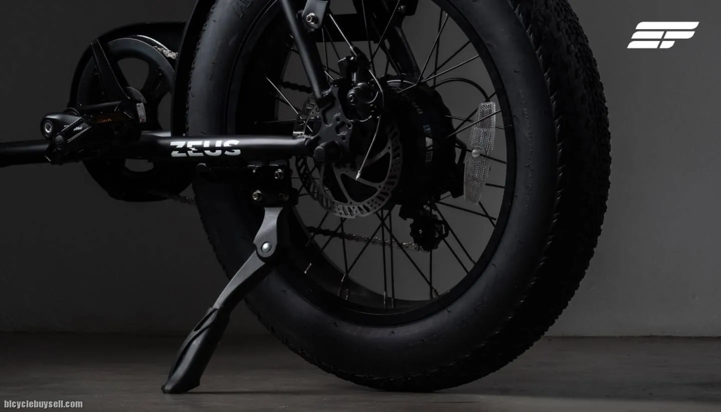 Electric Bicycle Zeus Alpha (Premium model)