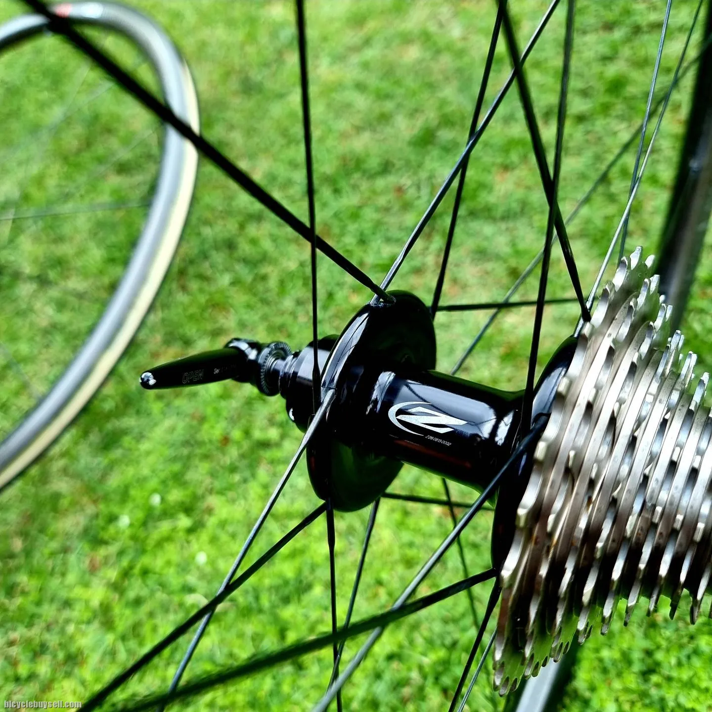 Zipp 202 Firecrest Clincher Wheelset