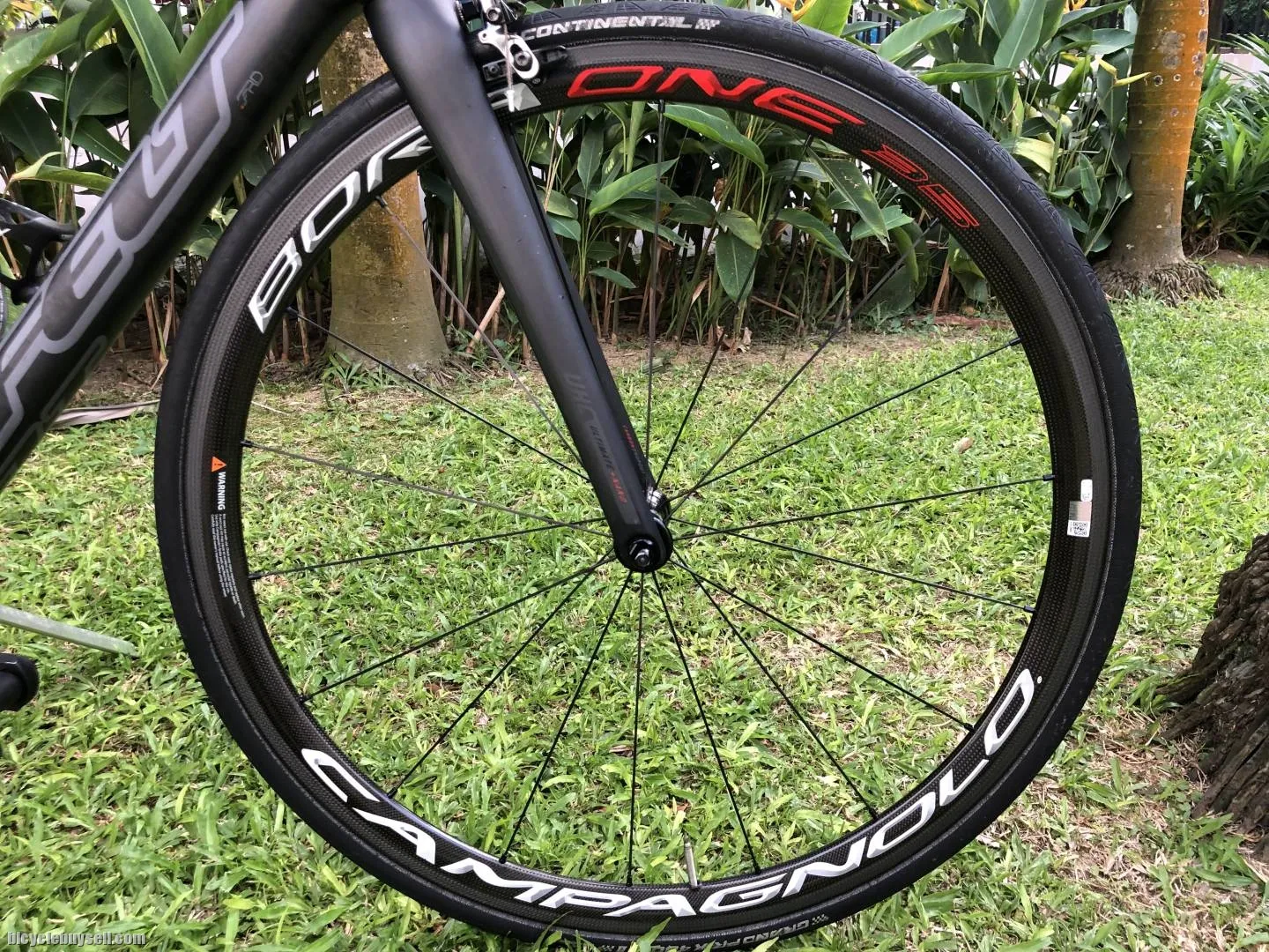 SOLD FELT F FRD Sram Etap Campagnolo Bora One