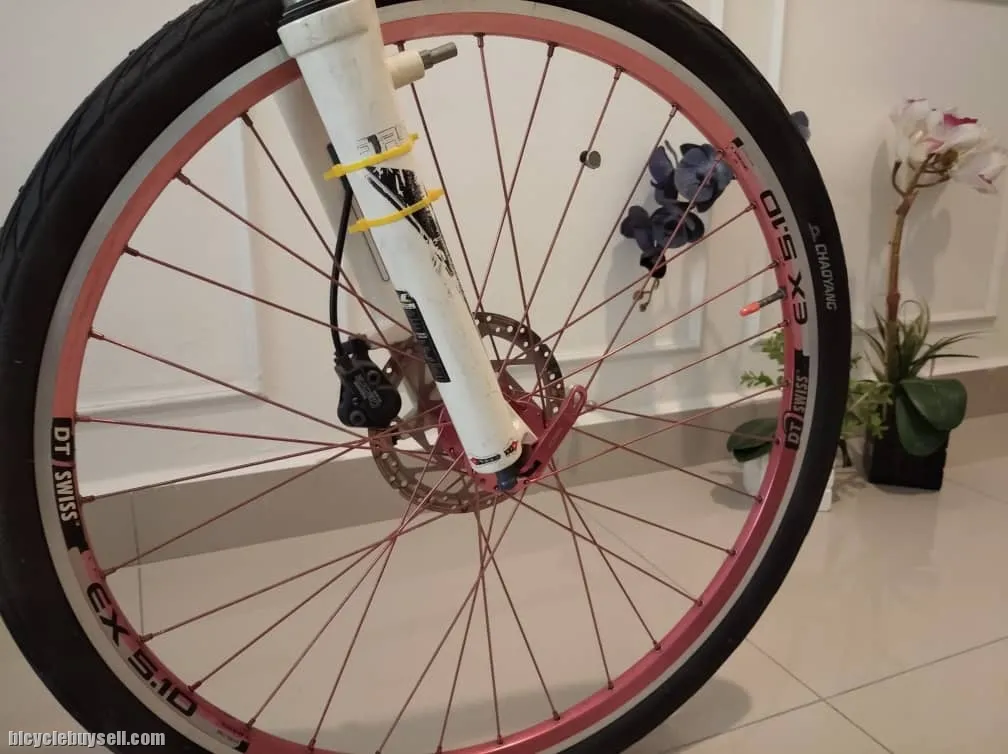 MTB Rubar Sheild Clear Store