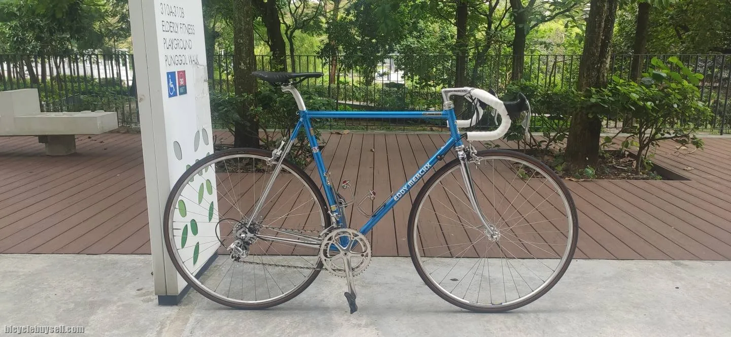 Steel Road Bicycle