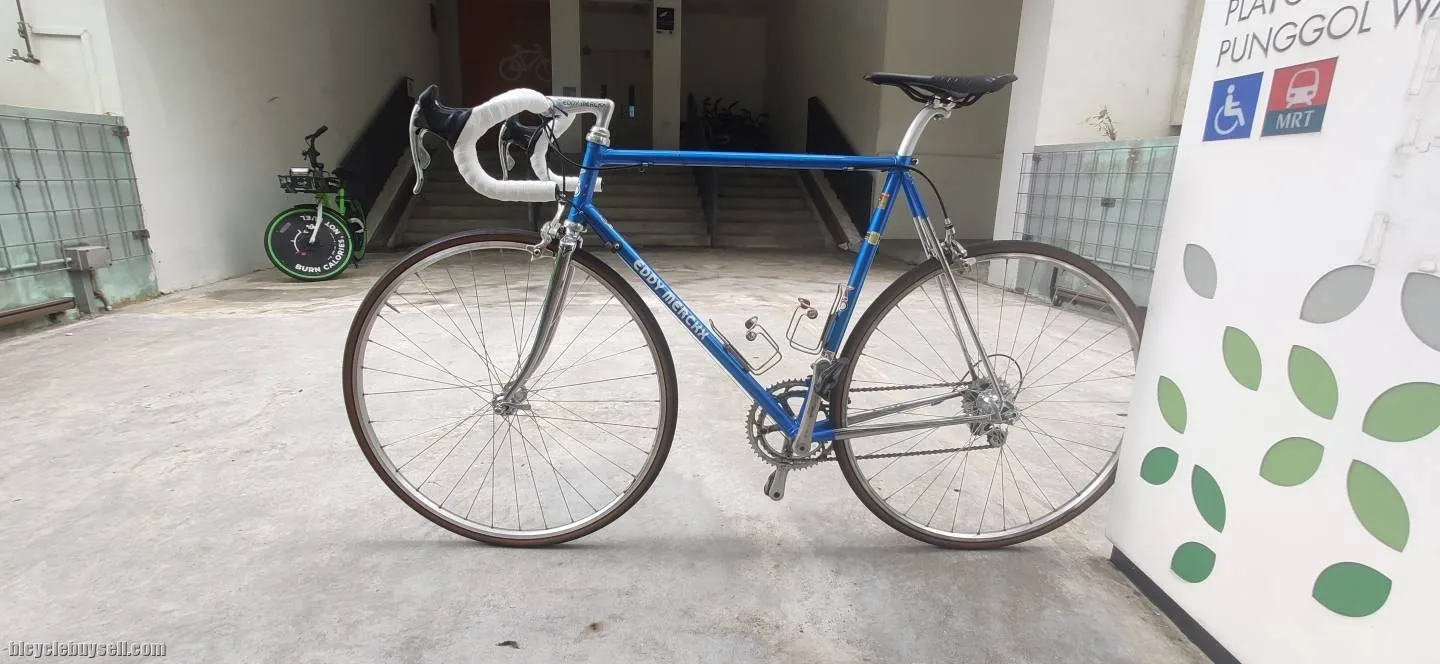 Steel Road Bicycle