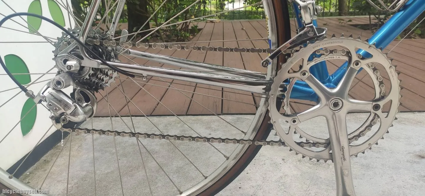 Steel Road Bicycle