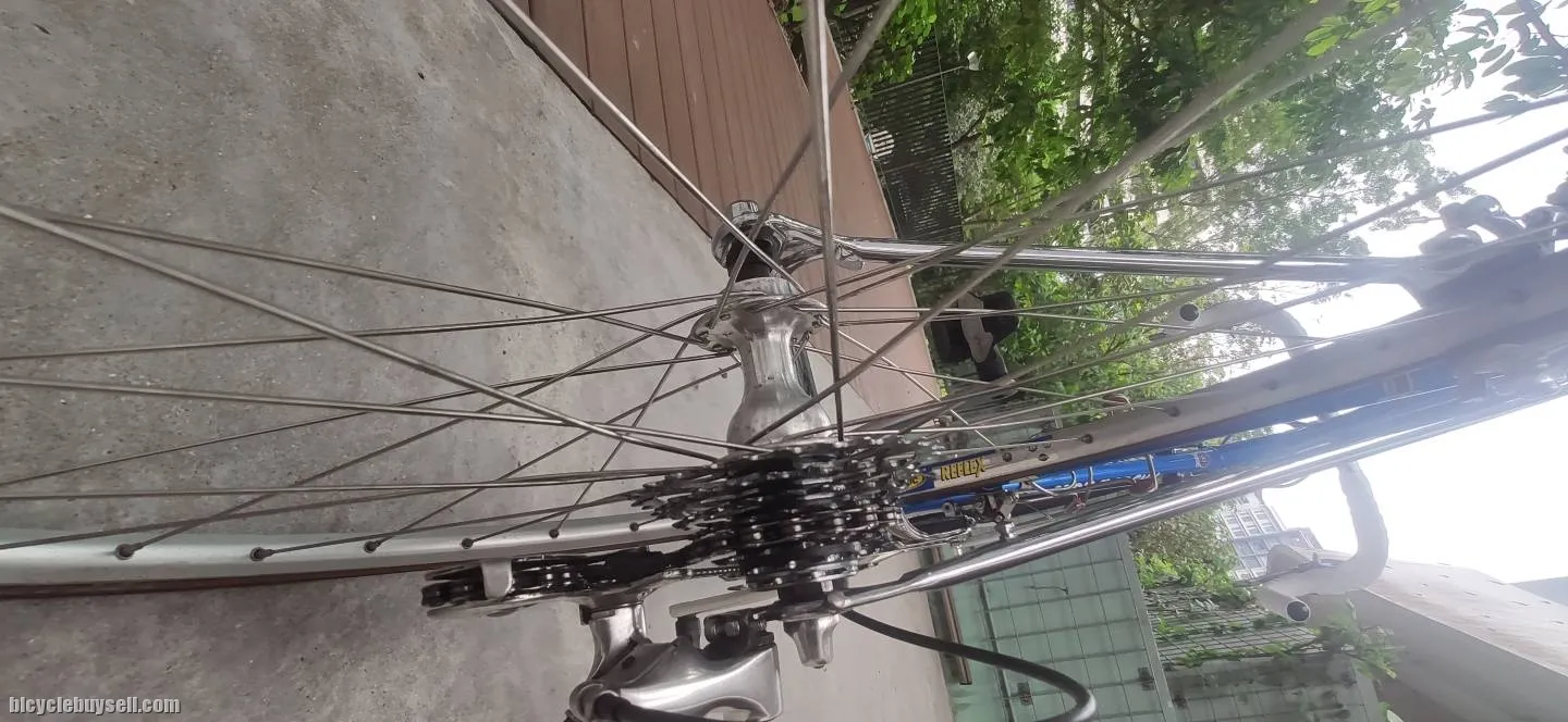 Steel Road Bicycle