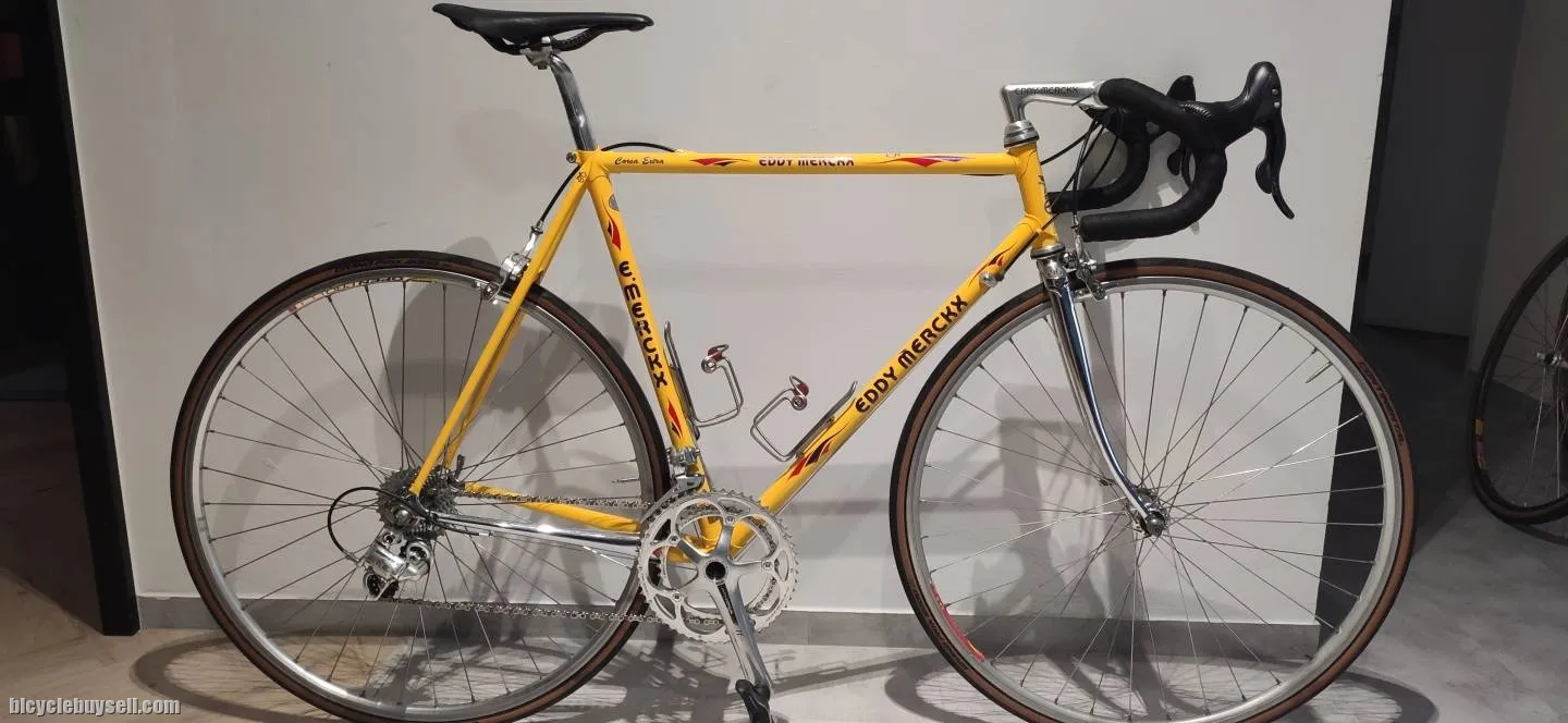Steel Road Bicycle