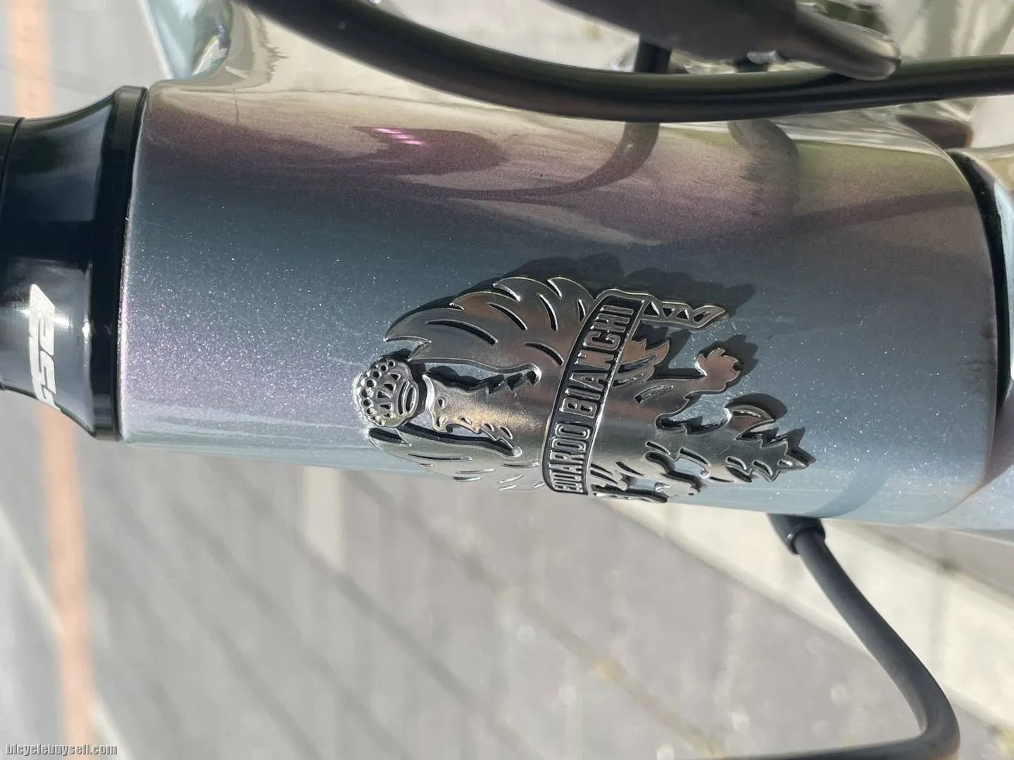 Bianchi Aria 2021 collection