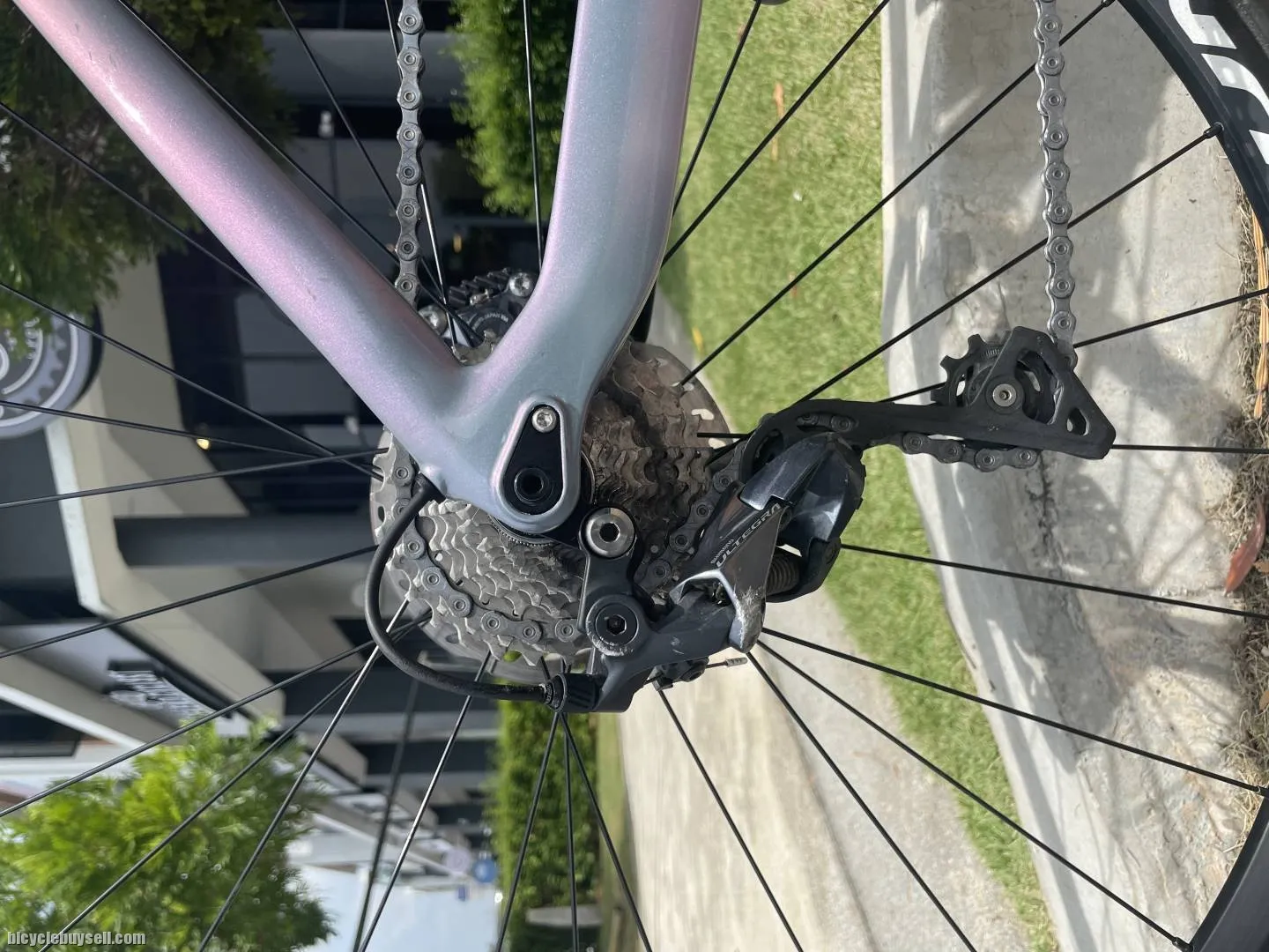 Bianchi Aria 2021 collection