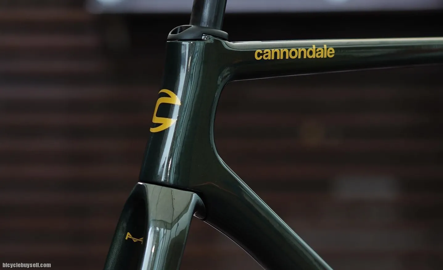 Cannondale Supersix Evo Hi-Mod Disc Frameset Mantis 2021 - READY STOCK