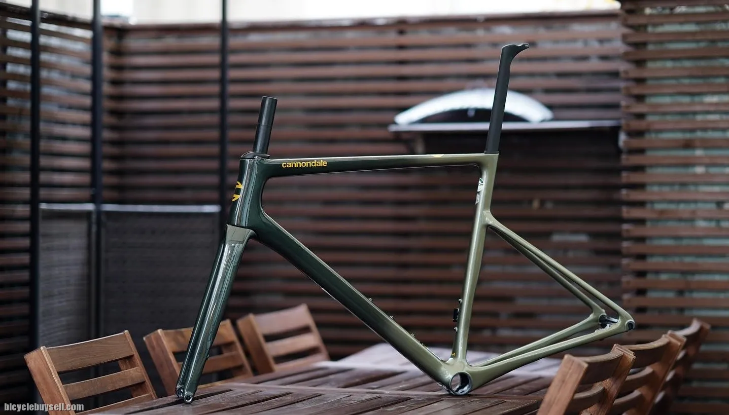 Cannondale Supersix Evo Hi-Mod Disc Frameset Mantis 2021 - READY STOCK