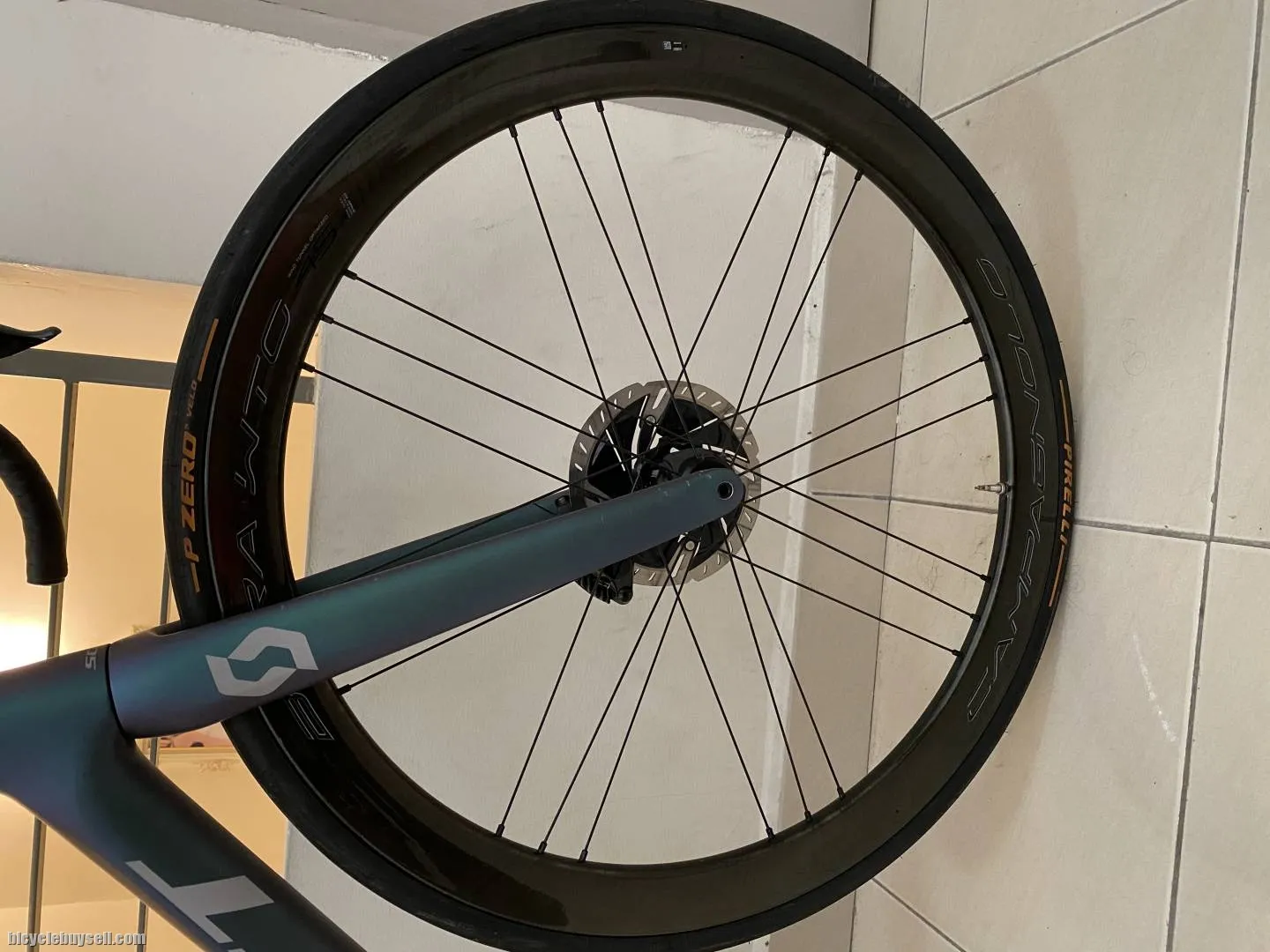 campagnolo bora WTO 45 disc