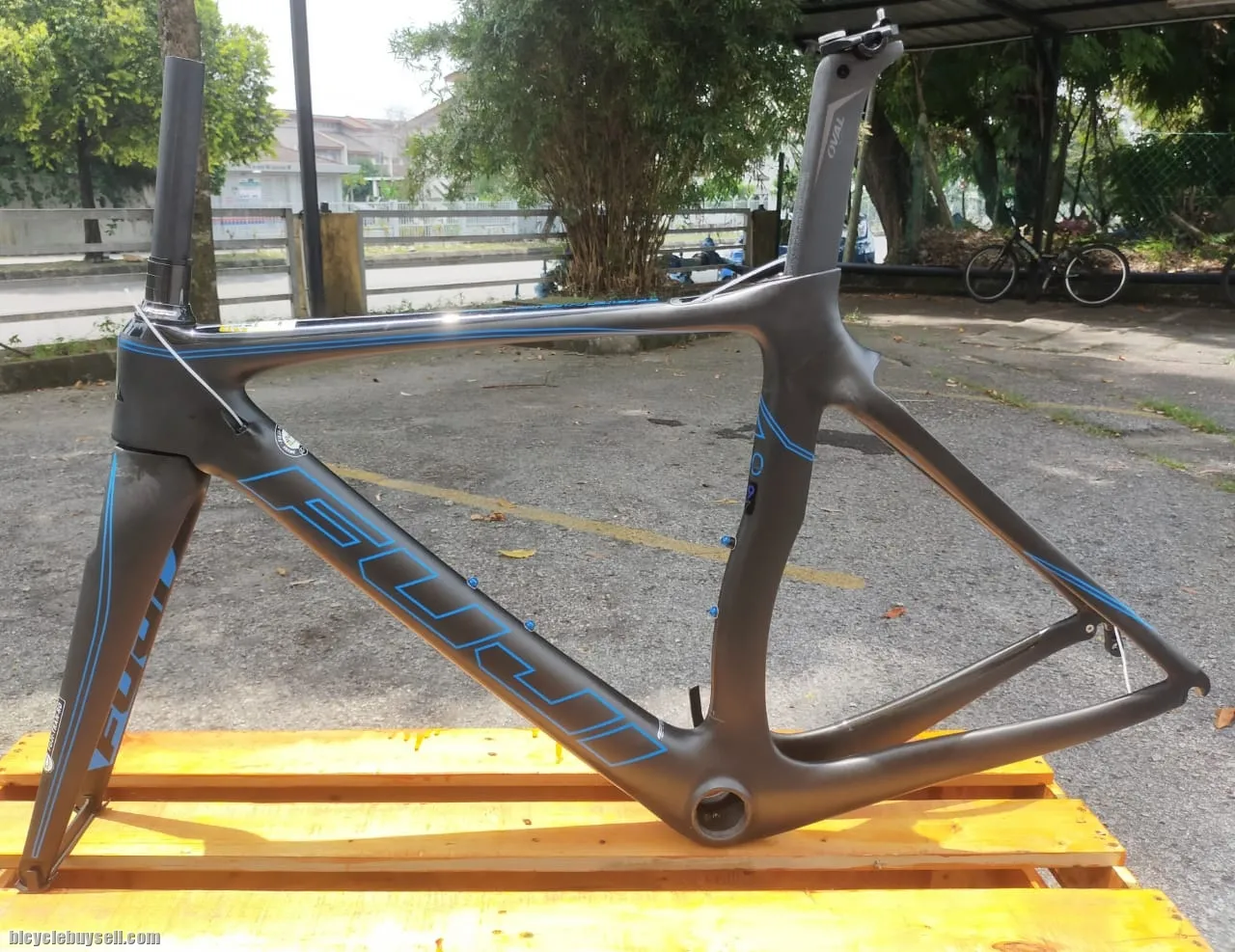 (NEW) Fuji Transonic Elite Frame CleaRance SALE - Never use before New Old Stock