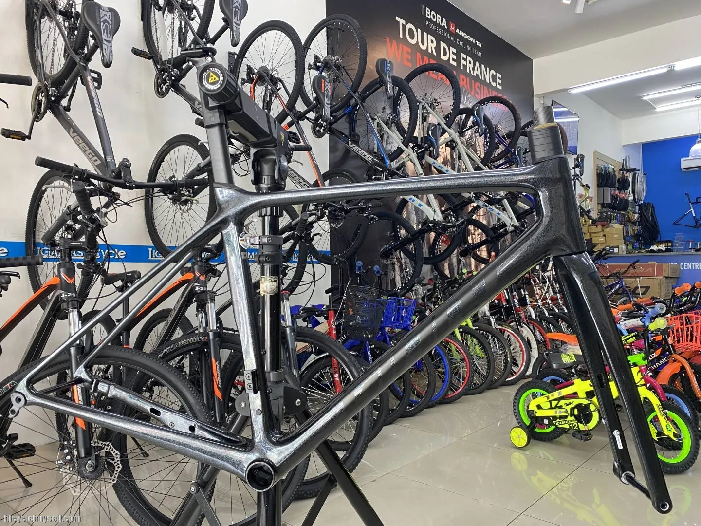 Giant Tcr Advanced Pro 2022 Frameset M Size