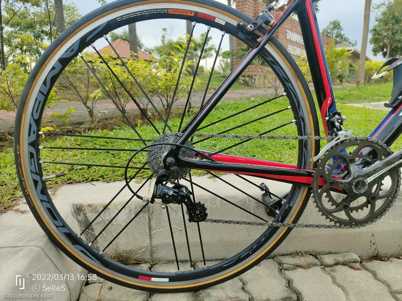 De Rosa Nick