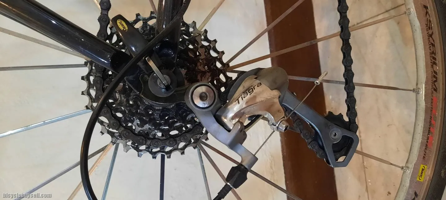 Fuji Full Carbon road bike CCR1