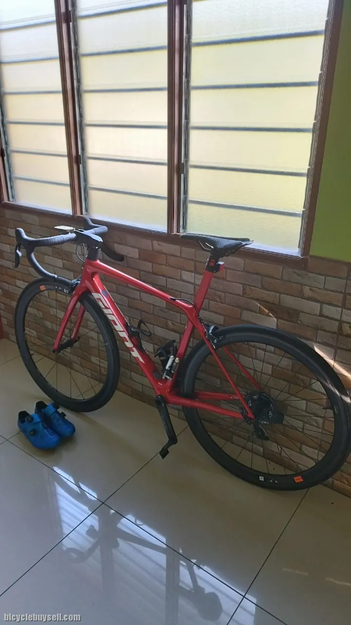 2022 TCR ADV SL 1 (Rim Brake)