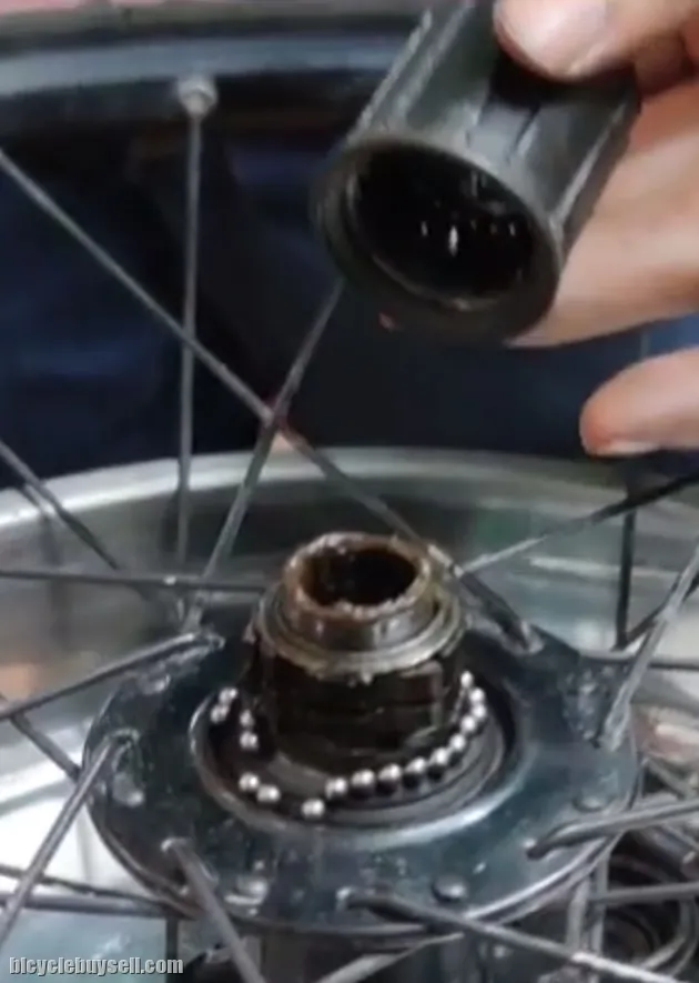 freehub, hub and freewheel service