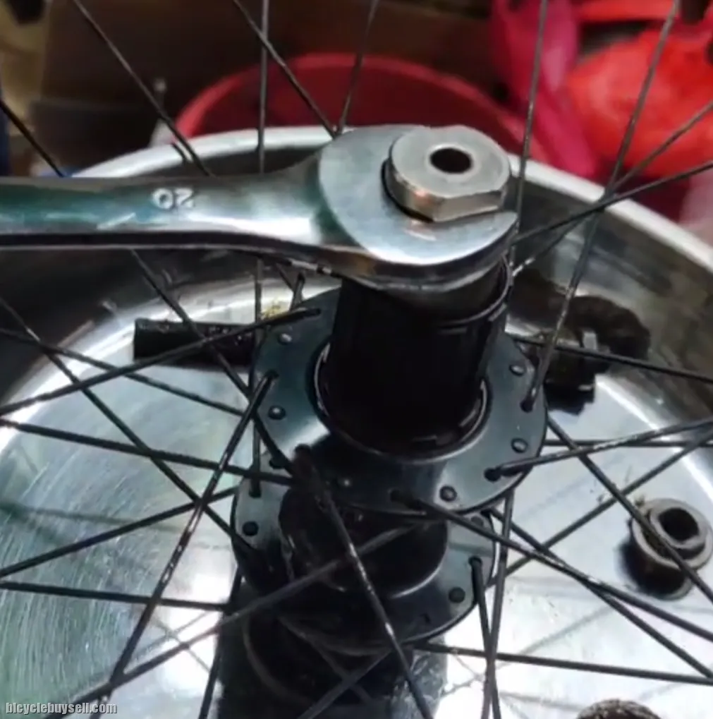 freehub, hub and freewheel service