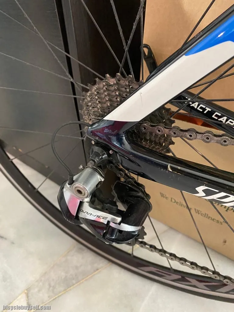S Works Peter Sagan