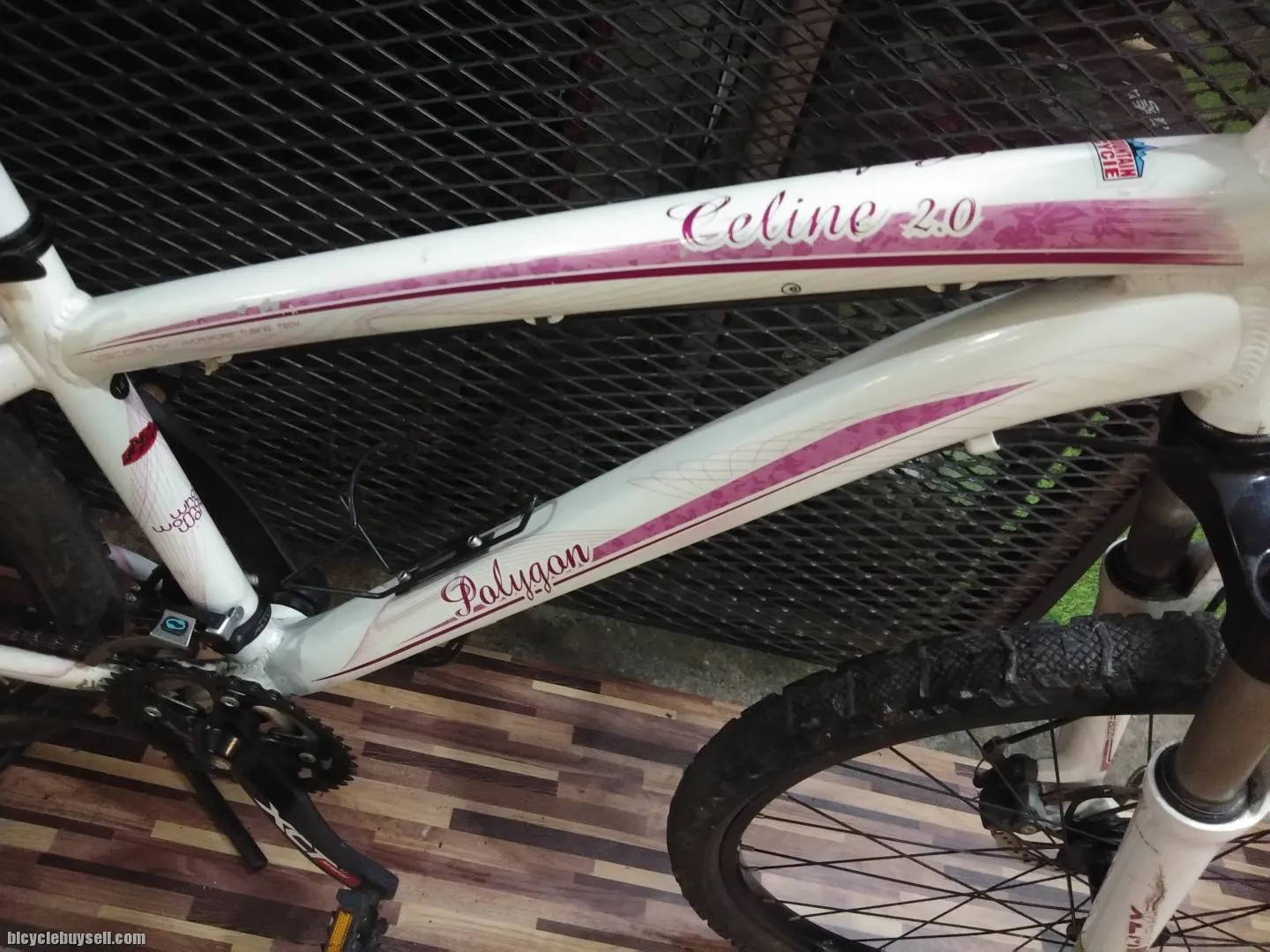 Polygon Celine 2.0