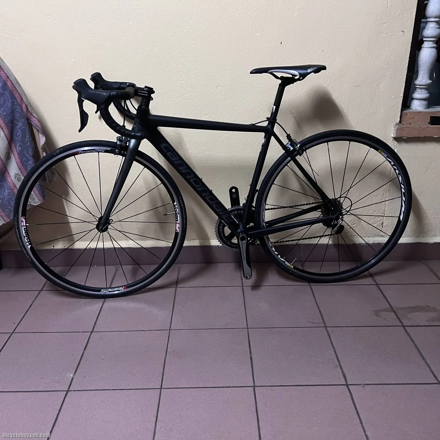 WTS CANNONDALE 2019 CAAD 12 Size 48