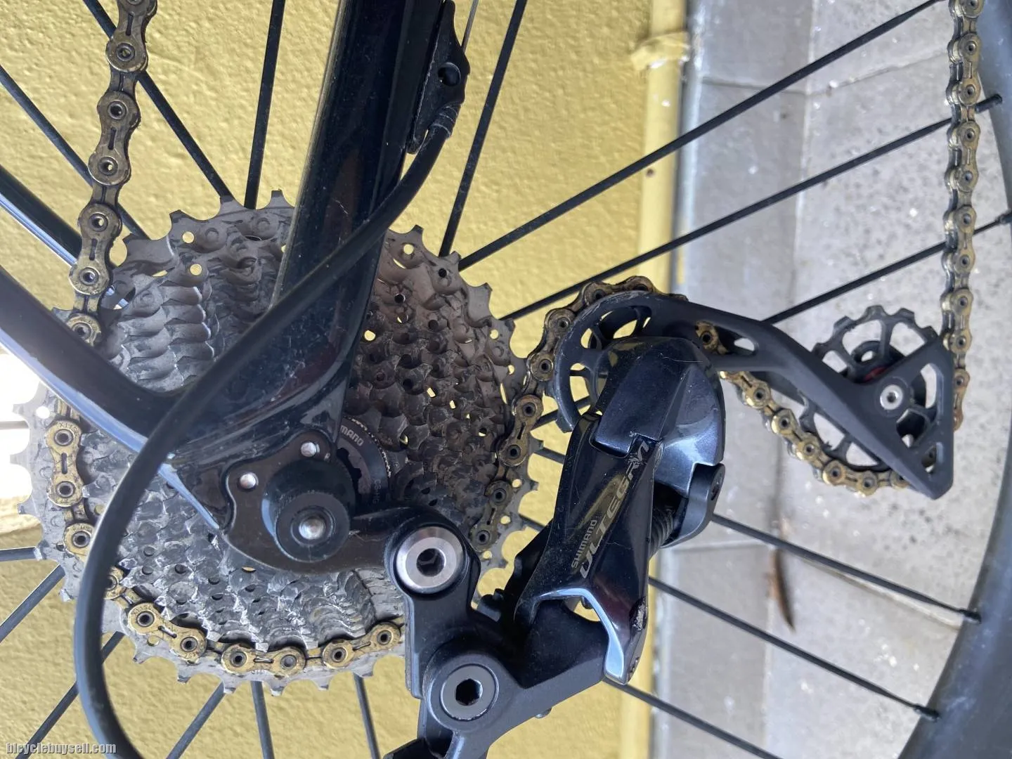 ARGON18 Gallium