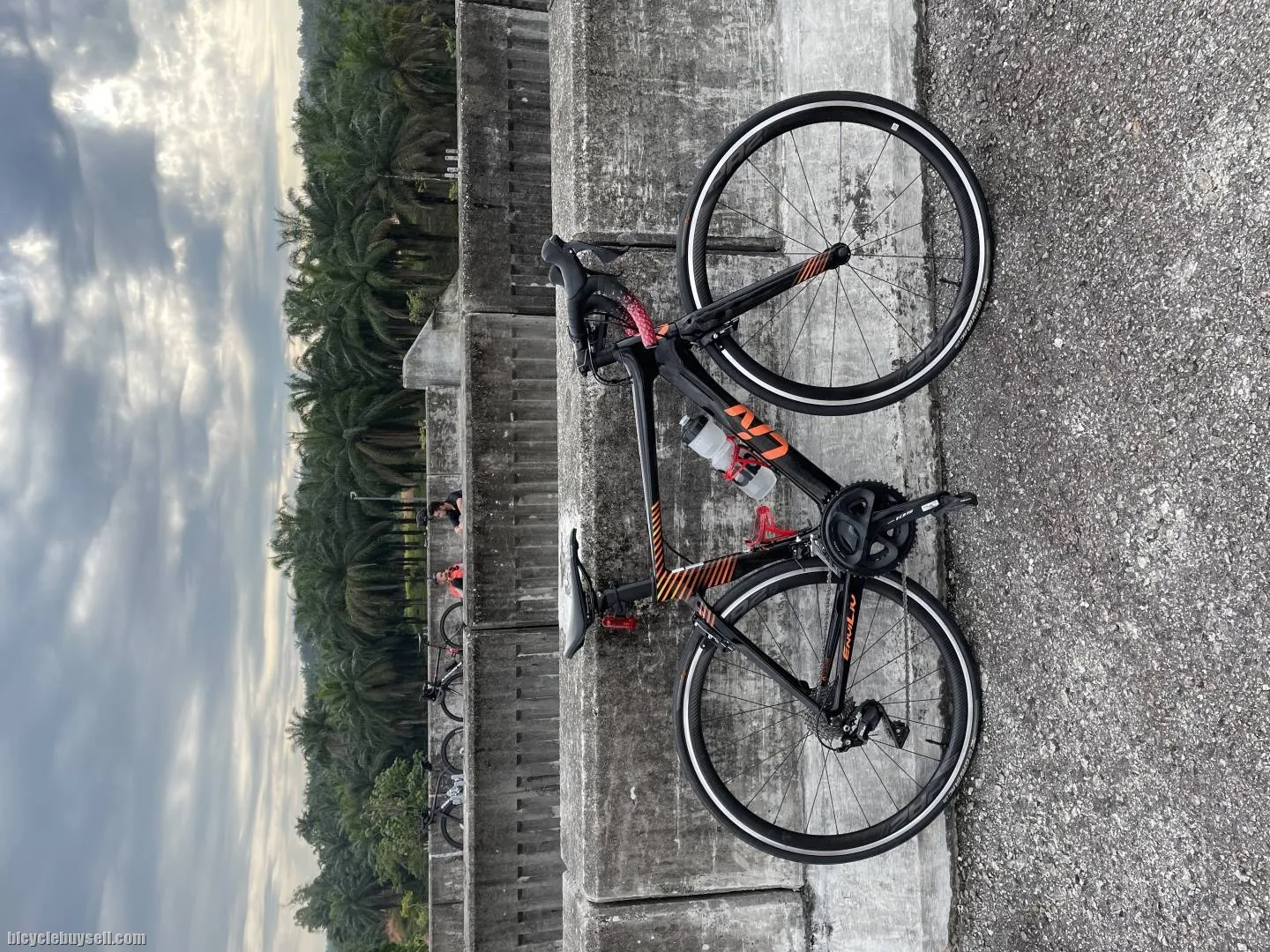 Giant Liv Enviliv Advanced 2
