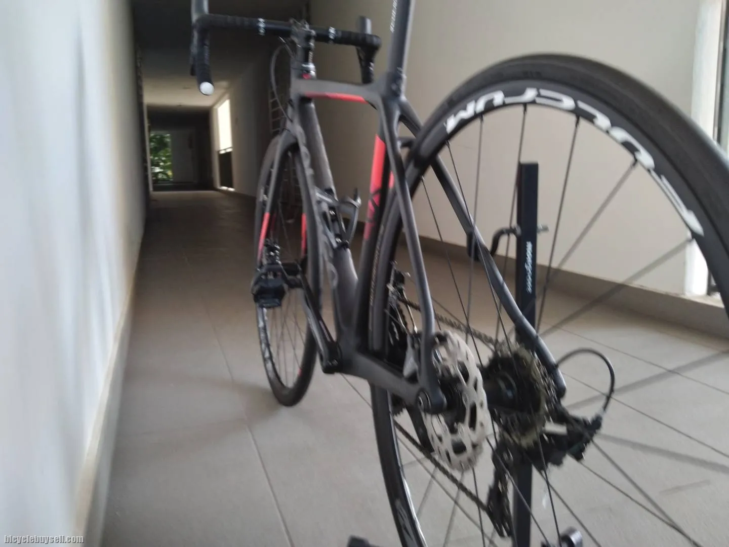 Roadbike Colnago CLX