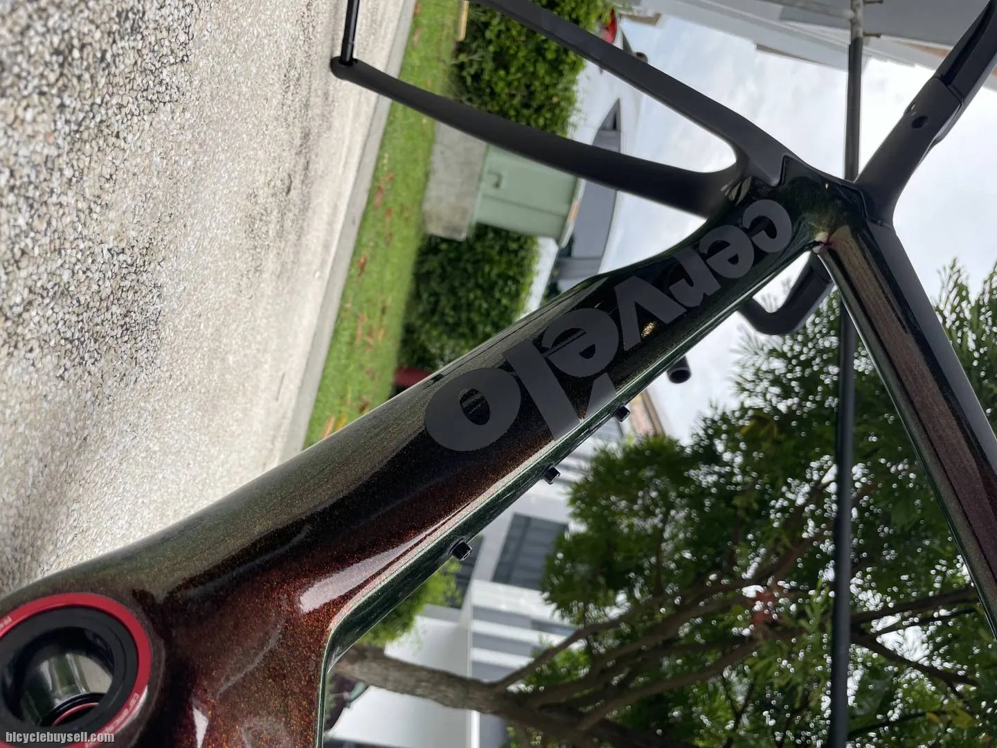 Cervelo S5 disc frameset size 51c