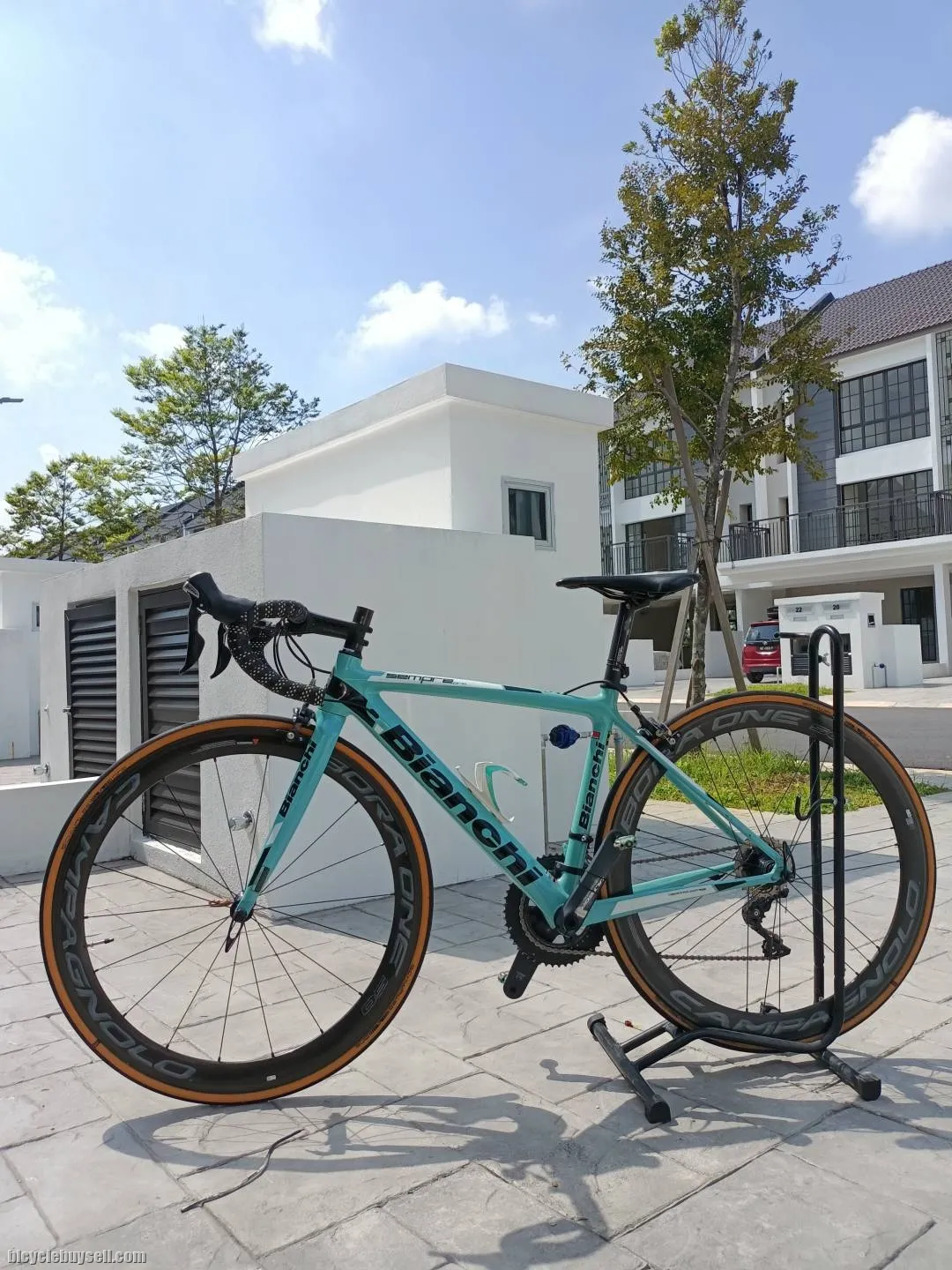 Bianchi Sempre Pro without wheelset