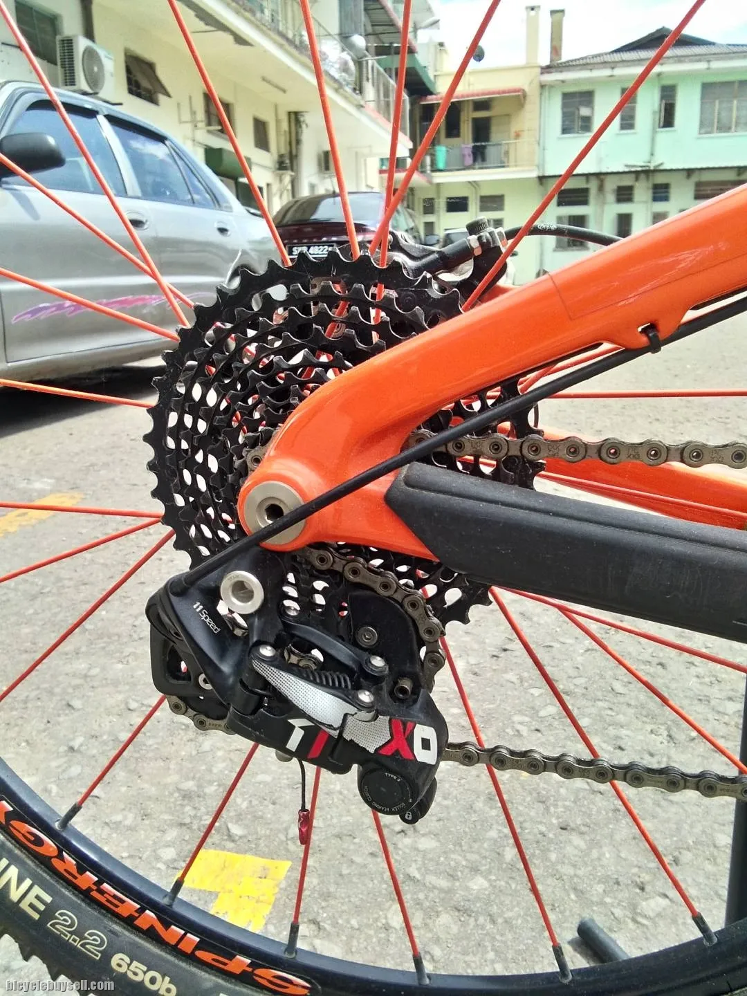Santa Cruz 5010C