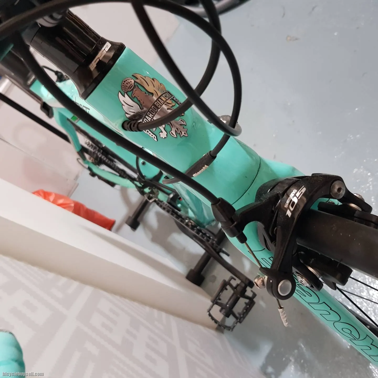 Bianchi Intenso Carbon