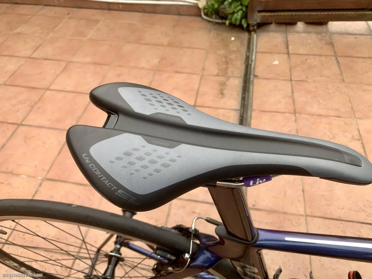 Giant Liv Envie Advance 1