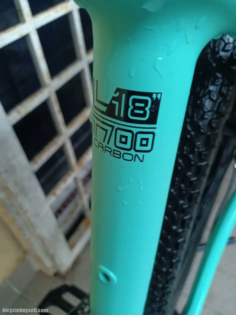2020 Trinx 18 T700 Carbon Body