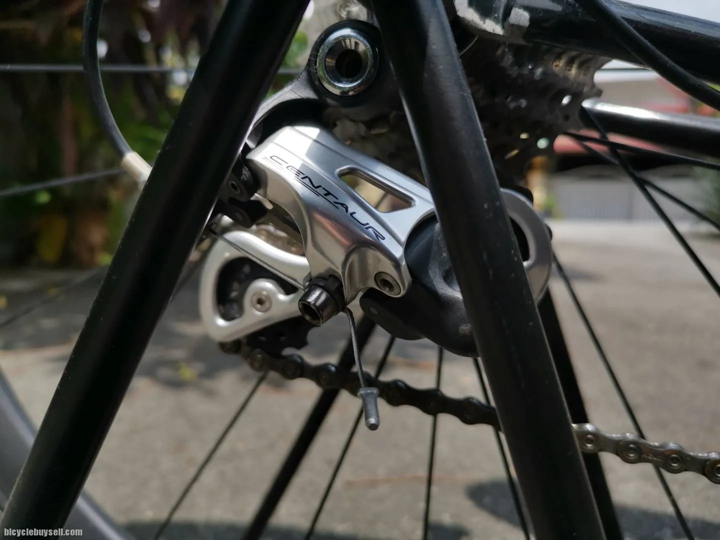 Colnago Dream Art Deco