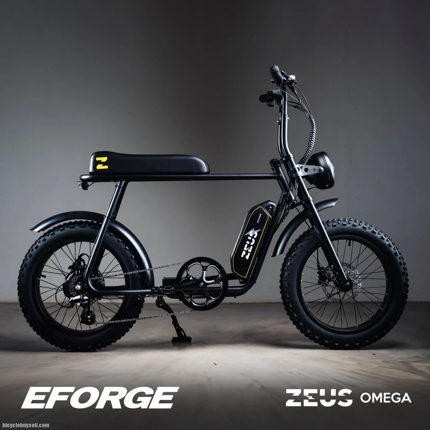 Electric Bicycle Zeus Omega (Advanced model)