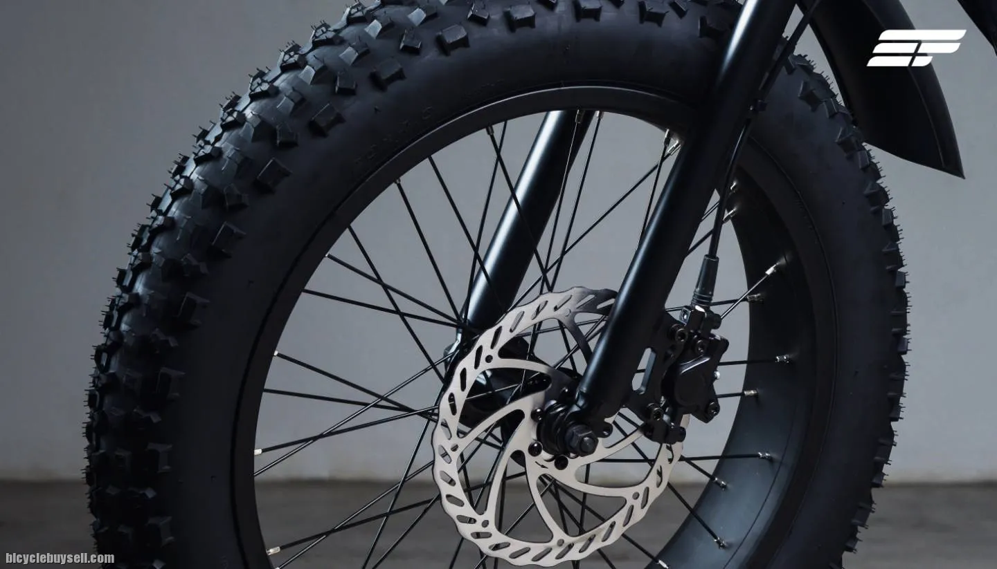 Electric Bicycle Zeus Omega (Advanced model)